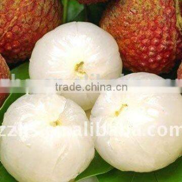 Canned Foodstuff Chinese Canned Lychee in Syrup photo-4