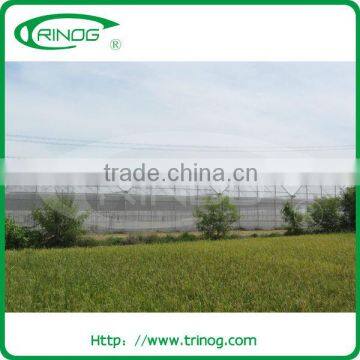 Widely used agricultural greenhouse for farm