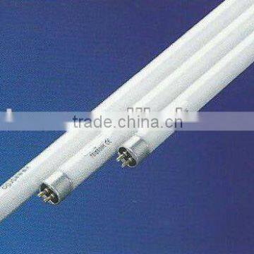 T5 fluorescent light