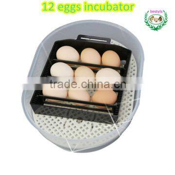 Hot Sale !!! JN12 Chicken Egg Incubator 12 Eggs Poultry Incubator Machine in Guangzhou photo-3