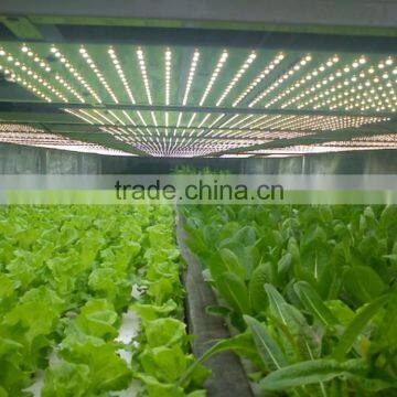 Shenzhen Factory Growing Lights LED 3w LED Grow Light for Growing photo-4