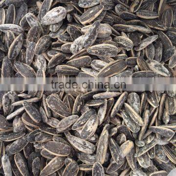 China Sunflower Seeds for sale with high quality