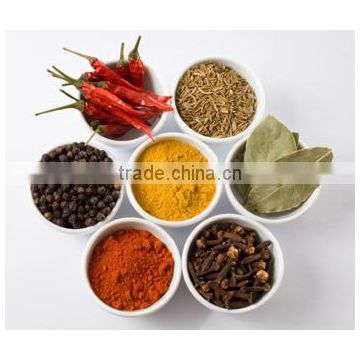 Nature spices & herbs China orgin/YY spice-Seasoning Blends