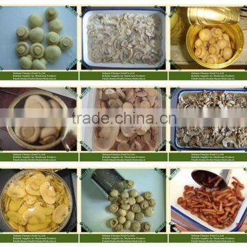 Mushroom Canned Food Wholesale