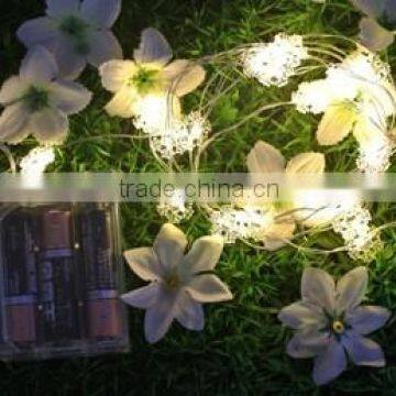 LED Festival Lights photo-5