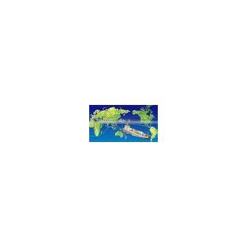 china lcl freight agent from china to Ukraine