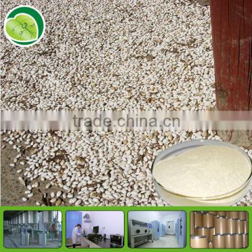 Phaseoline 1% organic white kidney bean extract powder