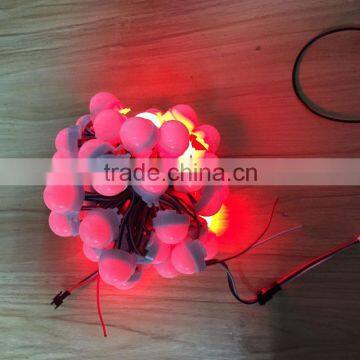 Addressable Led Lights Outdoor RGB Pixel 12V Led Point Light 0.72W Led Modules photo-3