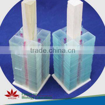 Microscope Plant Slides ,Corn Prepared Slides, ON SALE Prepared Slides photo-4