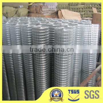 Galvanized Wire Mesh