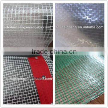 Clear & Transparent pe tarpaulin sheet with reinforced band ,reinforced clear poly sheet