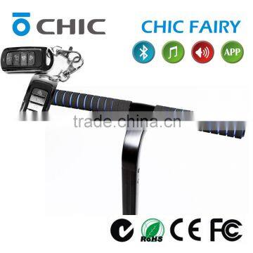 Balancing Standing Scooter CHIC FAIRY 2 Wheel Stand up Electric Scooter photo-6