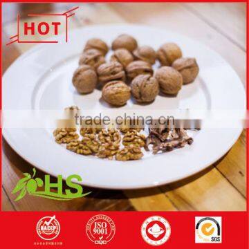 Hot Selling 2015 New Corp Wholesale Walnut kernel walnut meats