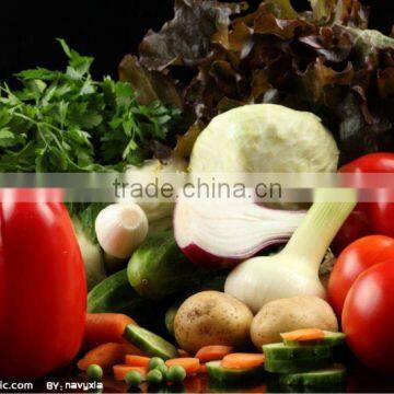 Directly from farmland fresh vegetables cheapest price