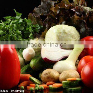 Fresh Vegetable(Garlic,ginger,onion,potato,carrot,beans)