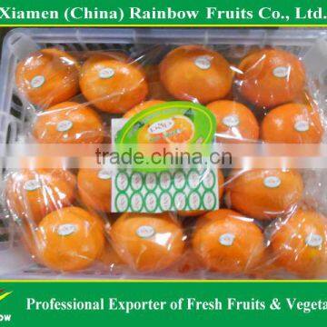 Fresh mandarin orange navel orange