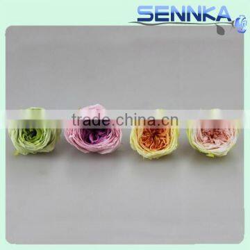 Farm Plant Flower Preserved Green Austi Rose Flowers With Flower Head 4-5cm photo-5