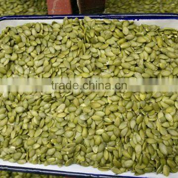 China Pumpkin Seeds Kernel Shine Skin AA