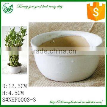 Ceramic Flower Pot Painting Designs