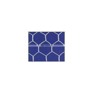 hexagonal iron wire mesh