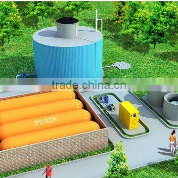 Puxin 100m3 biogas digester for power