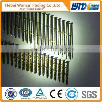 Twisted Coil Nail Packed in Carton Brighted Coil Nail Fencing Coil Nail