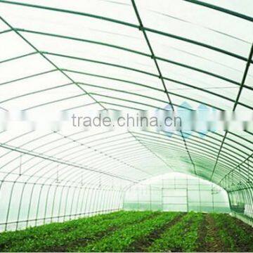 Wind Greenhouse Polytunnel photo-3