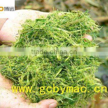 Combine Corn Silage Harvesting Machine 4QZ-2800 photo-5