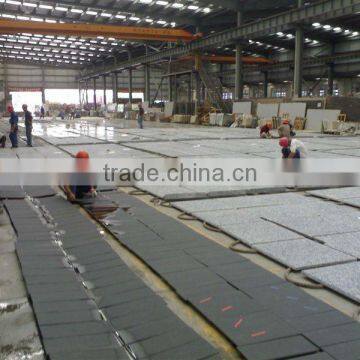 Mountain White Crystal Grey Granite Tiles, photo-2