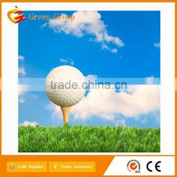 China Hot Sell Customized Golf Ball photo-2