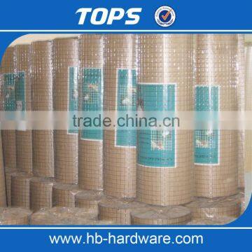 China 6x6 Concrete Reinforcing Welded Wire Mesh photo-6