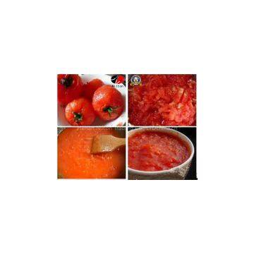 Good Mouthfeel High Quality Tomato Paste Ketchup photo-3