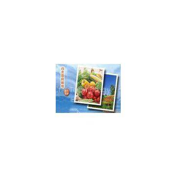 Cast coated Inkjet Glossy Photo Paper  Glossy Inkjet Photo Sticker Paper