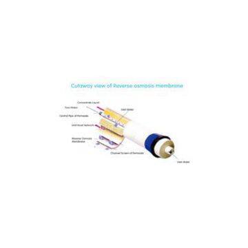 Oman_the model of Delemil membrane