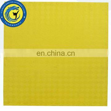 3CM Five Strips Blue Color Aikido EVA Foam Mat