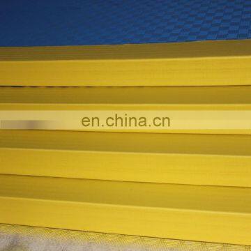 Premium PE Karate Used Judo Tatami Wrestling Mat