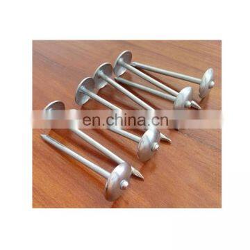 Galvanized Roofing Nails/Umbrella Head Roofing Nails/Roofing Nails