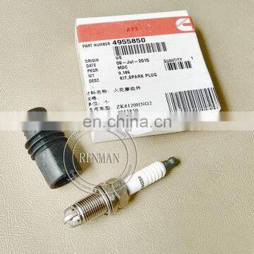 Cummins Engine Parts Spark Plug 4955850