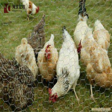Hot Dip Electro Galvanized Chicken Wire Mesh Hexagonal Wire Mesh With Lowest Price photo-3