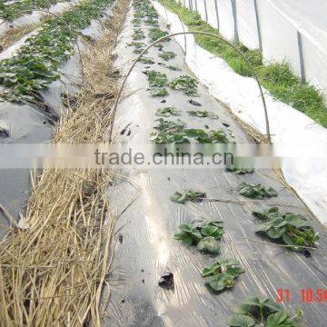 plastic film for greenhouse 2015 plastic film for greenhouse with low price