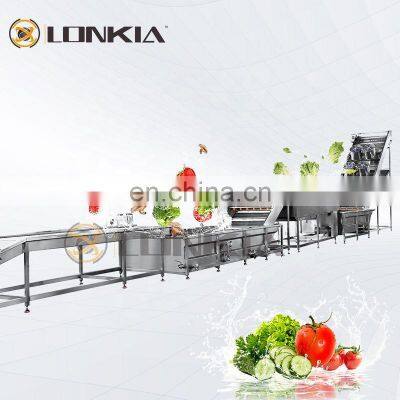 LONIKIA Egypt Arab Dubai fresh vegetable fruits peeling washing slicing drying IQF packing process machine solutions