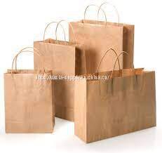 Paper Twisted Handle Shopping Bags Wholesale