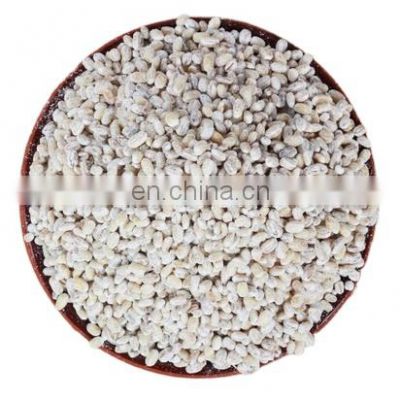 100% GOOD QUALITY PEARL GRAIN BARLEY/COIX SEED FROM VIETNAM