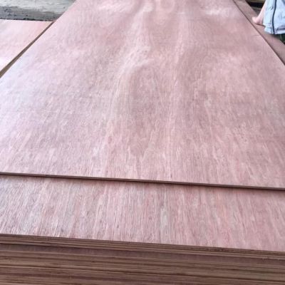 Waterproof E1 E2 E0 Glue Hardwood Bintangor Okoume Birch EV Poplar Marine Commercial Plywood for Furniture