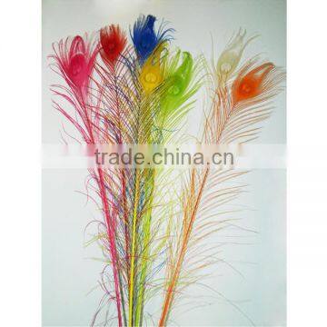 natural peacock feather white decoration