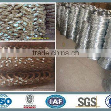 BWG22 galvanized wire 0.5kg each coil,20coils/bundle