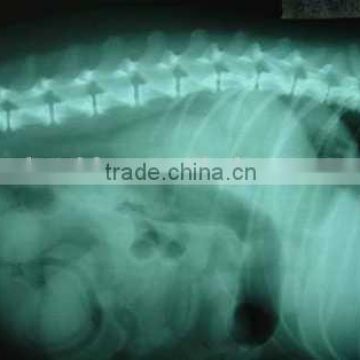 medical thermal x ray film,medical equipment dealer ,laptop lamination film