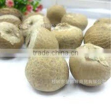 Dried Betel Nut High Quality Big size