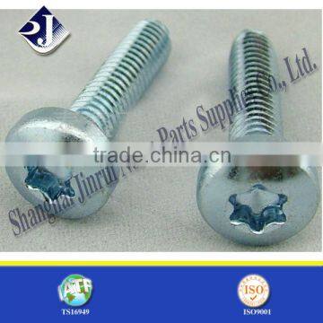 T30 Torx Screw