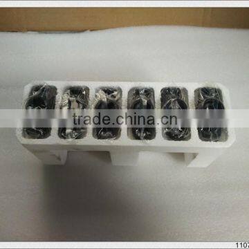 Original Diesel Fuel Injection Pump 1701 Plunger photo-2